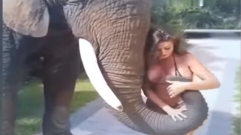 Animals Funny video|| Girls Funny video|| Girls Funny Fails||