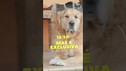 🔴 WHATSAPP EM MASSA - LIVE EXCLUSIVA - SOFTWARE AO VIVO