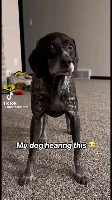 A Dogs Reaction To Being Eaten Pt 1