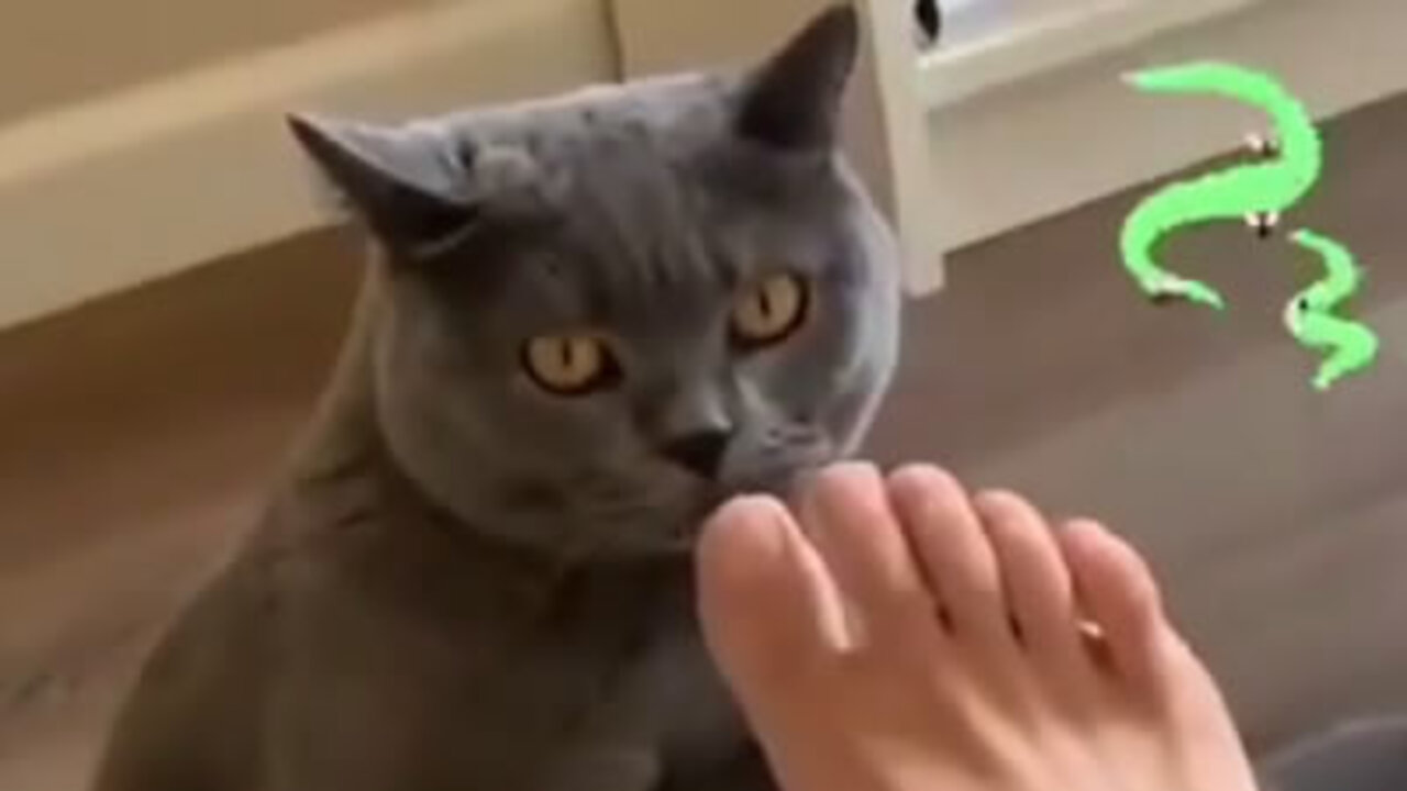 Stinky foot