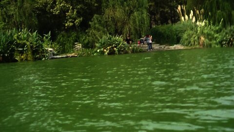 China 2014