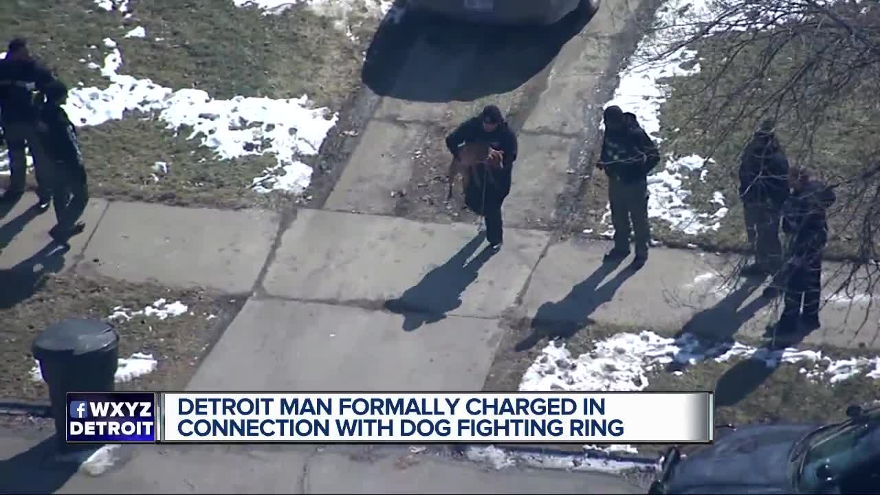 Detroit man formally charged in connection with dog fighting ring