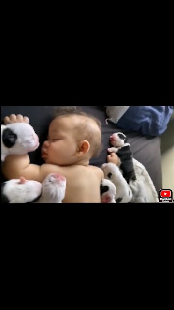 Cat was planning when baby was sleeping....