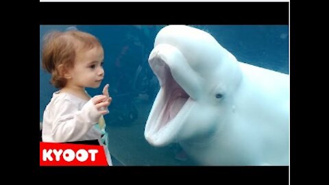 Funny Kids video at the Aquarium