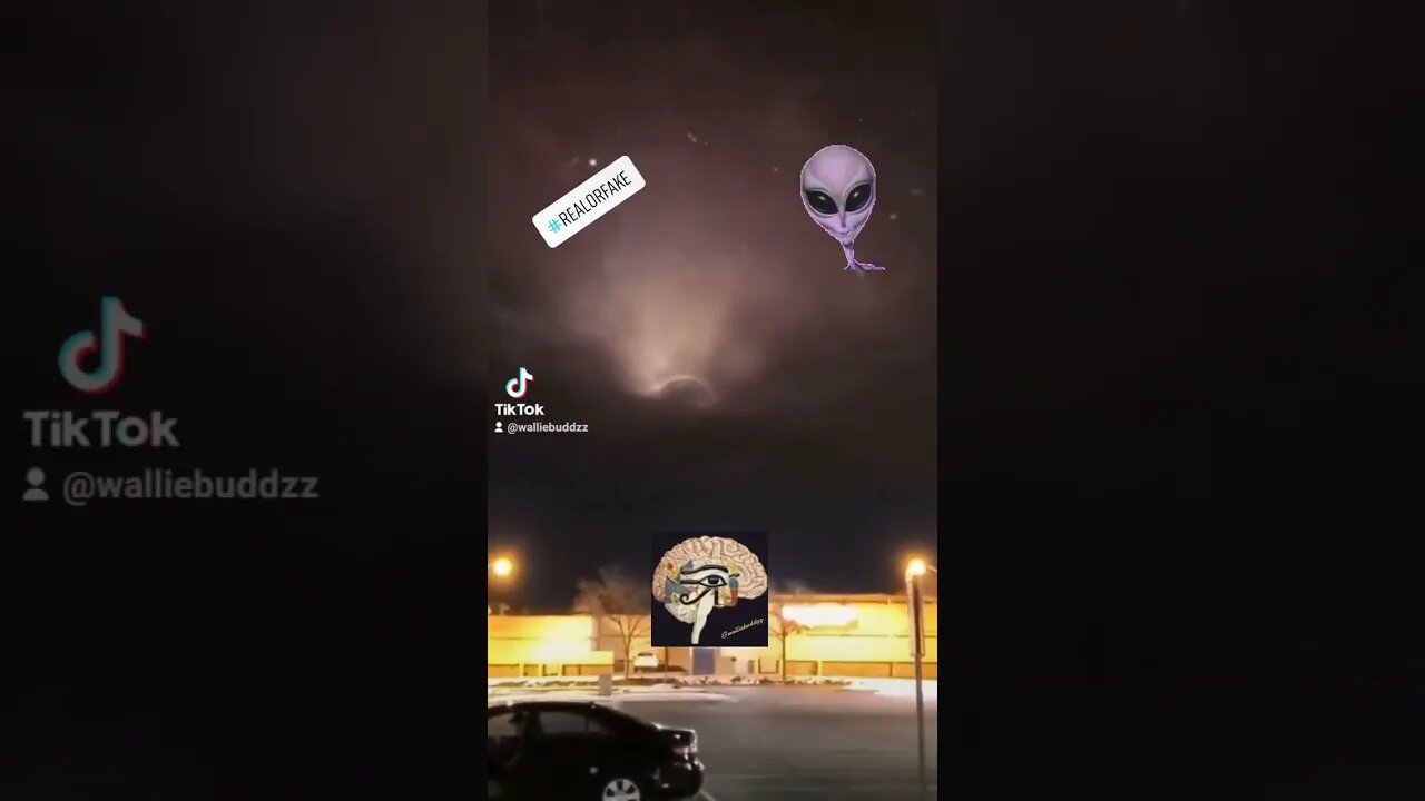 realorfake