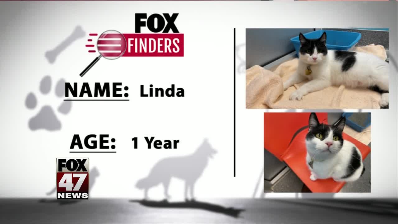 FOX Finders Pet Finder - Linda