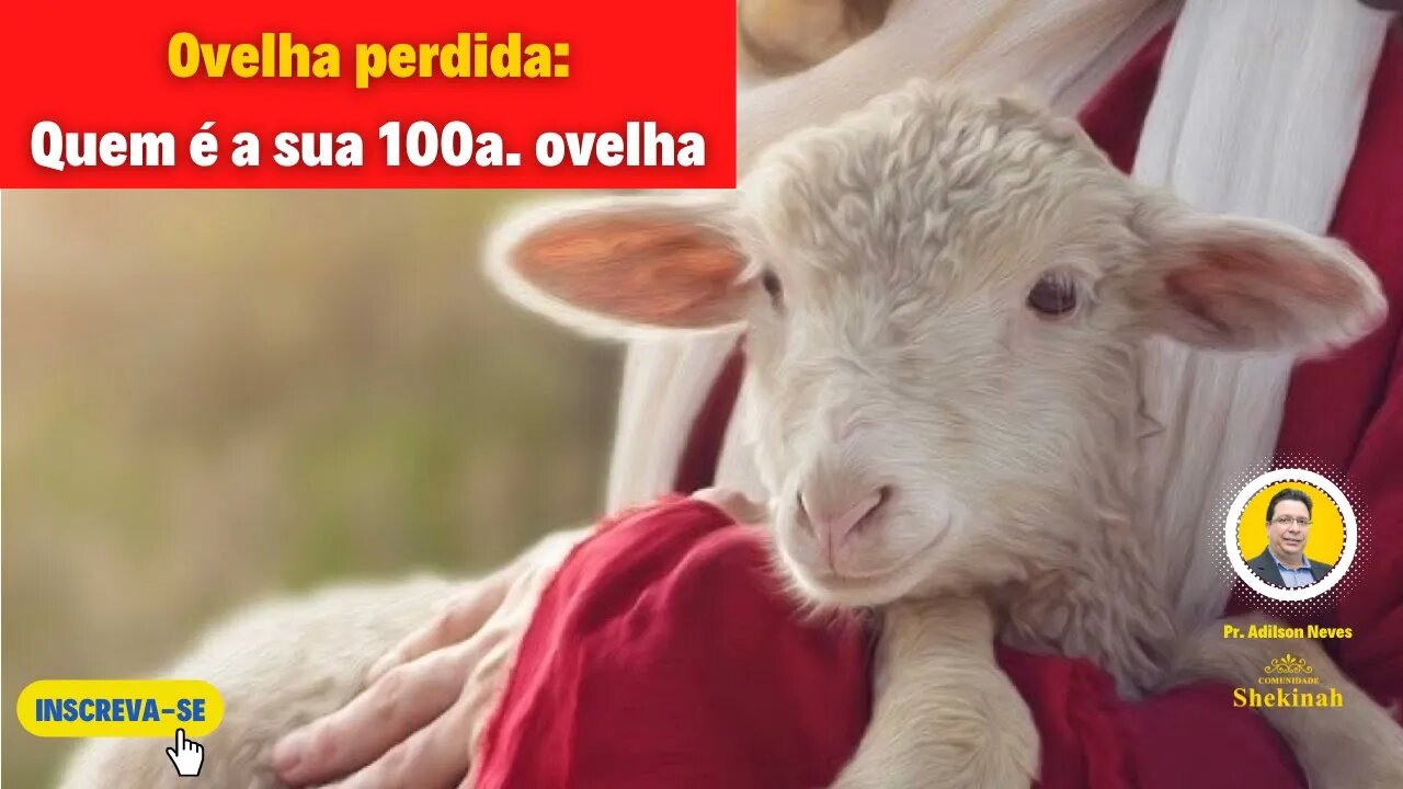 Ovelha perdida #ovelhaperdida #bompastor