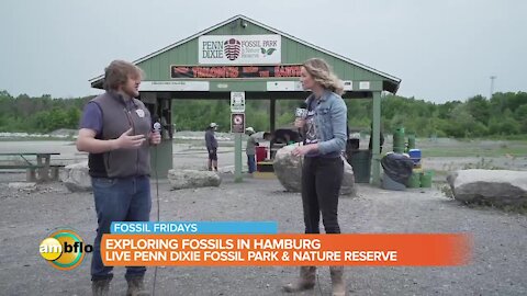 Fossil Fridays at Penn Dixie Fossil Park and Nature Reserve