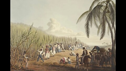 Emancipation most pulper story clip 2023