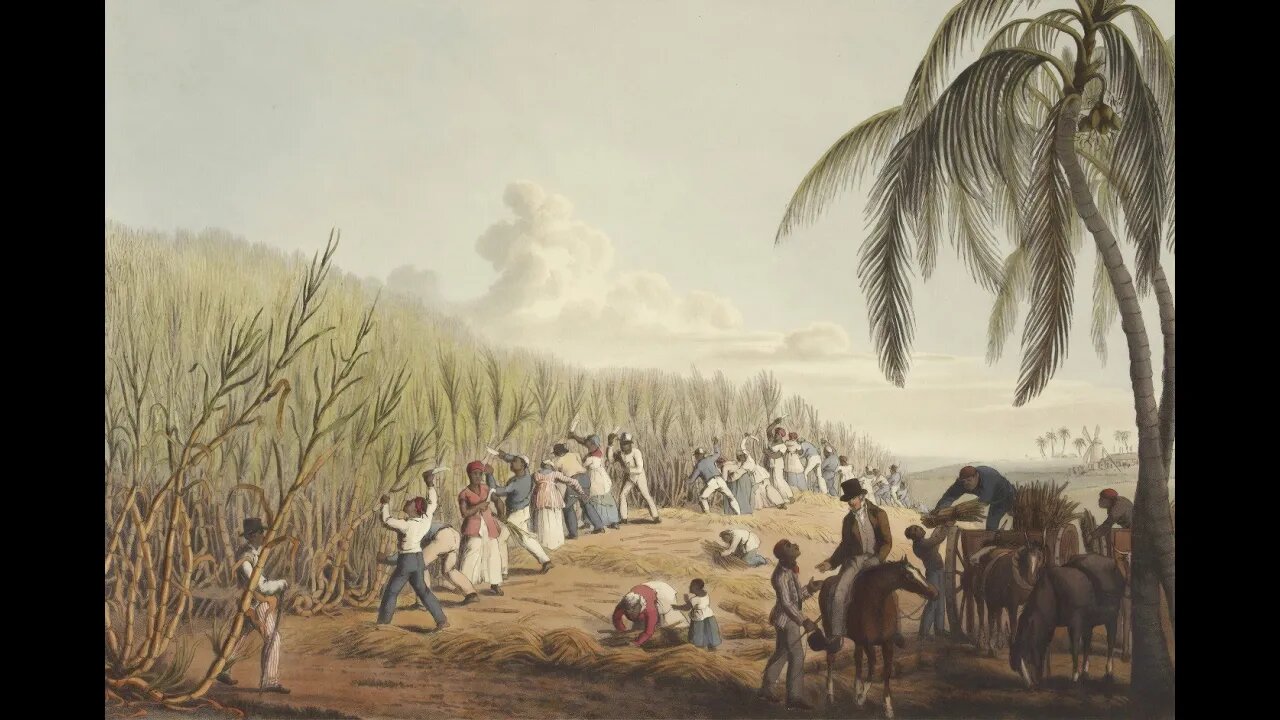 Emancipation most pulper story clip 2023