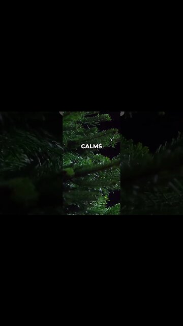 Listen to full meditations at Women's meditation network channel #meditation #sleep #shorts