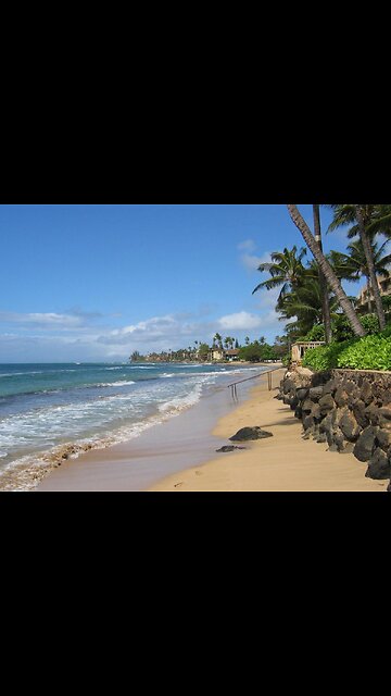 Hawaii Fires Stop Short of Luxury Homes on Beach? How? Direct Energy Weapons!