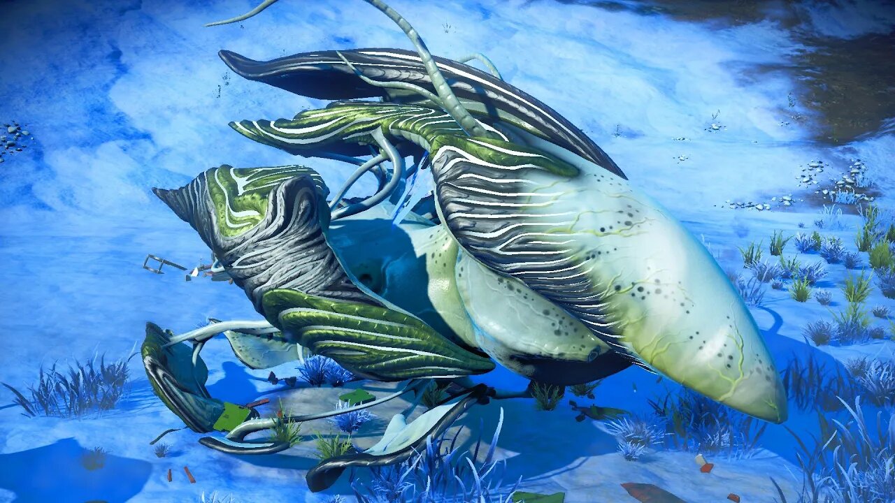 No Man's Sky - The Infected Raskuyiumh - Living Ship Location