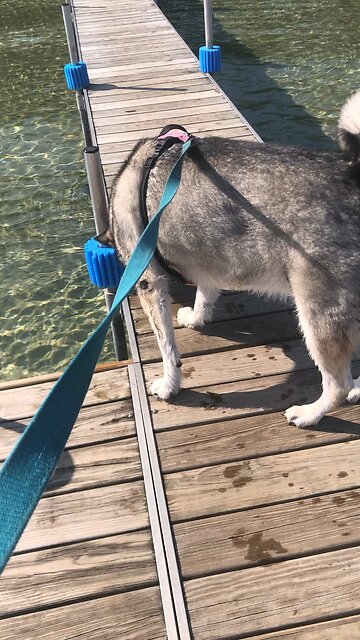 Sunday August 25, Children are a gift from the Lord.