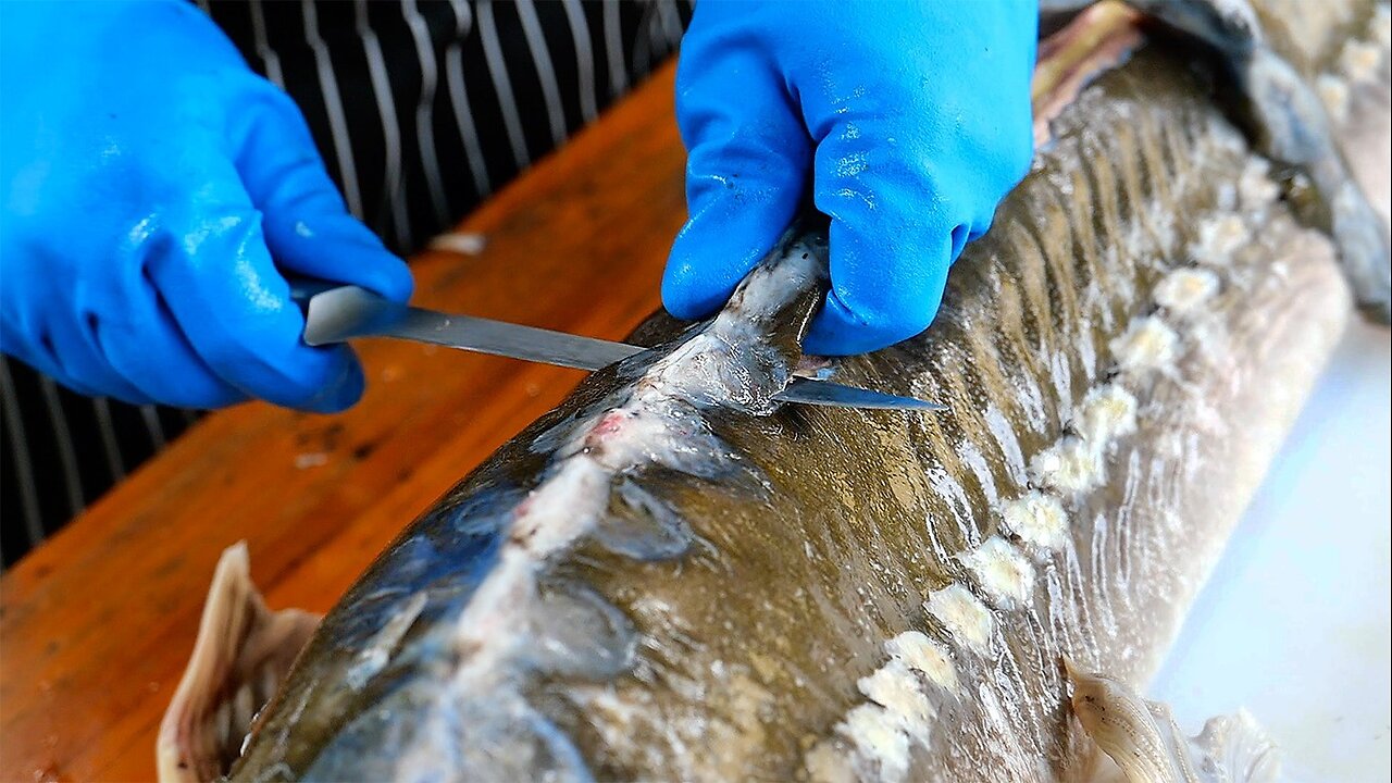 Thai Food - AMAZING STURGEON FISH PREPARATION Bangkok Seafood Thailand