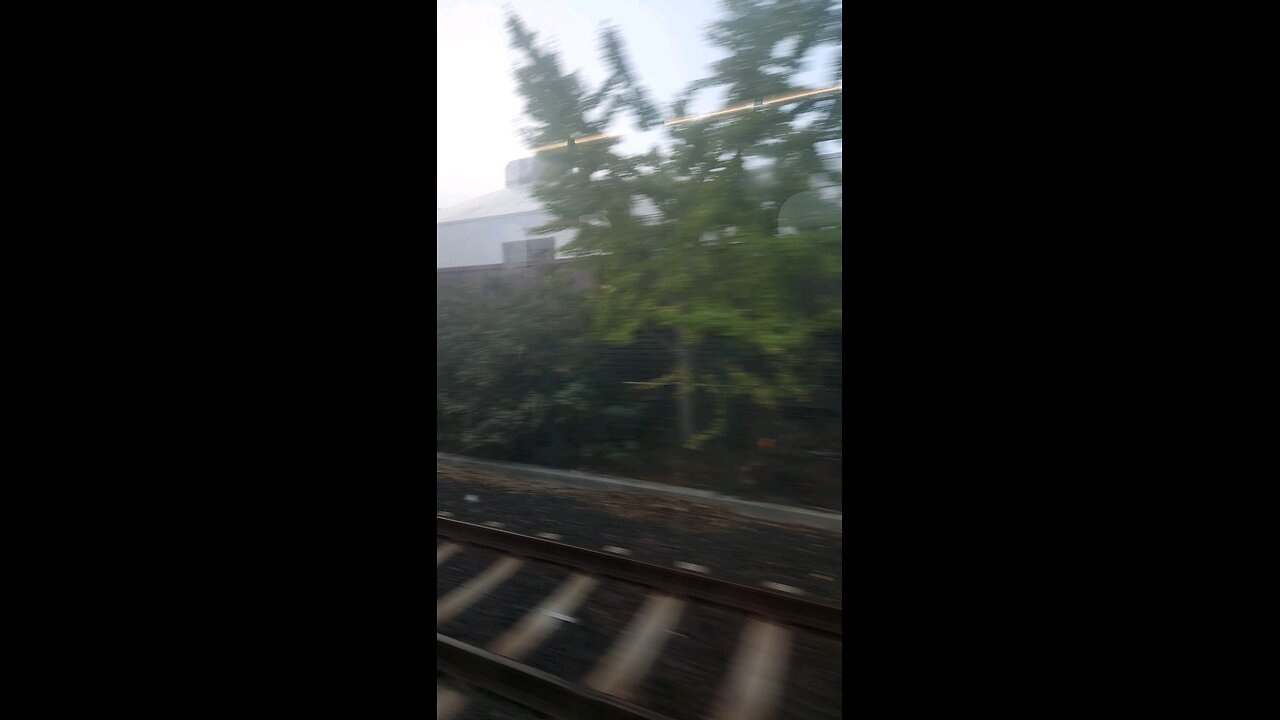 train mist asmr