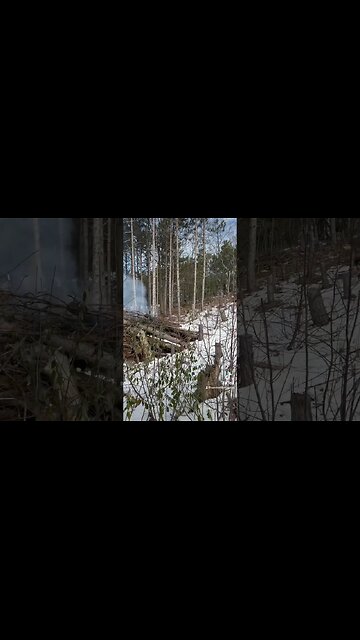 Dee Dee wants to Run Real Estate (On Location in Northport)