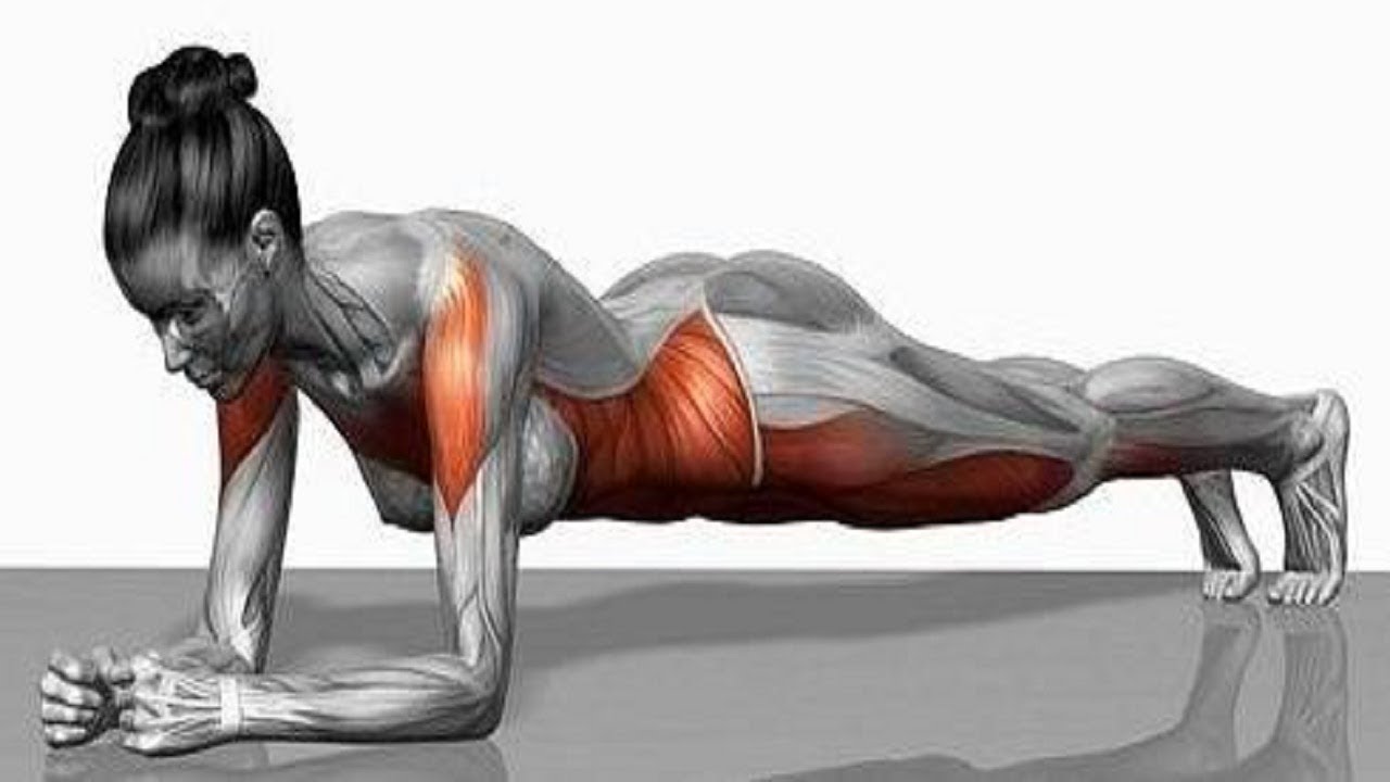 5 Simple Exercises That Will Transform Your Body in Just Four Weeks