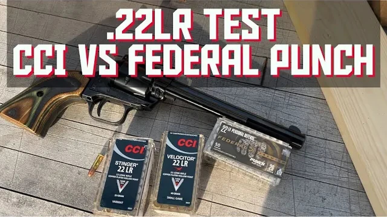 Ultimate 22lr Ammo Test (Federal Punch Vs CCI Stinger)
