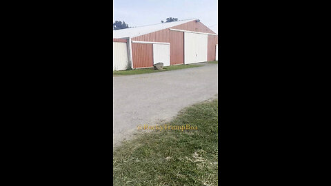 RockyTrumpBoa tours Butler Fairgrounds, Rally site, AGR fenceline