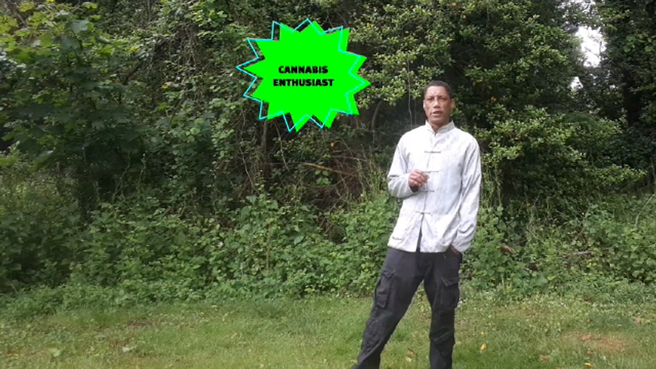 My Cannabis Career Audition Video from IG