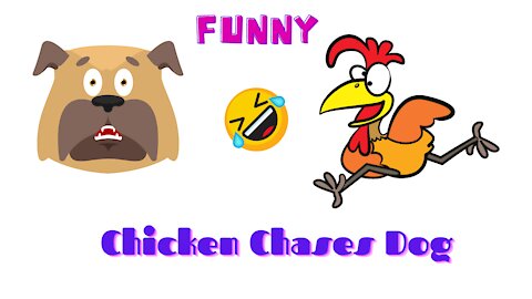 Funny Dog Animal Videos Chicken Chases Dog Hilarious