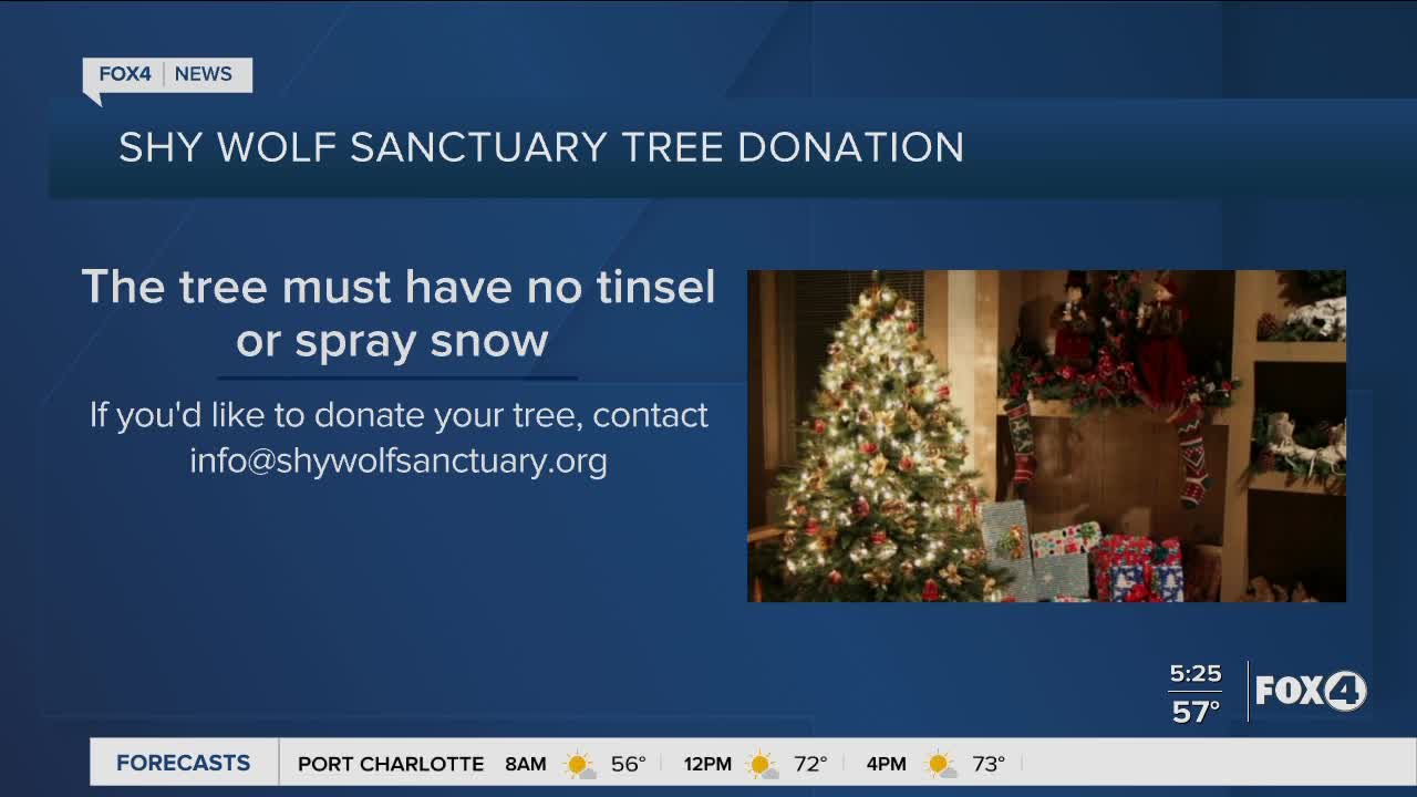 Shy Wolf Sanctuary would like Tree Donations