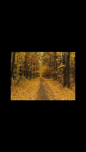 𝑷𝒆𝒂𝒄𝒆𝒇𝒖𝒍 𝑨𝒖𝒕𝒖𝒎𝒏 𝑭𝒐𝒓𝒆𝒔𝒕