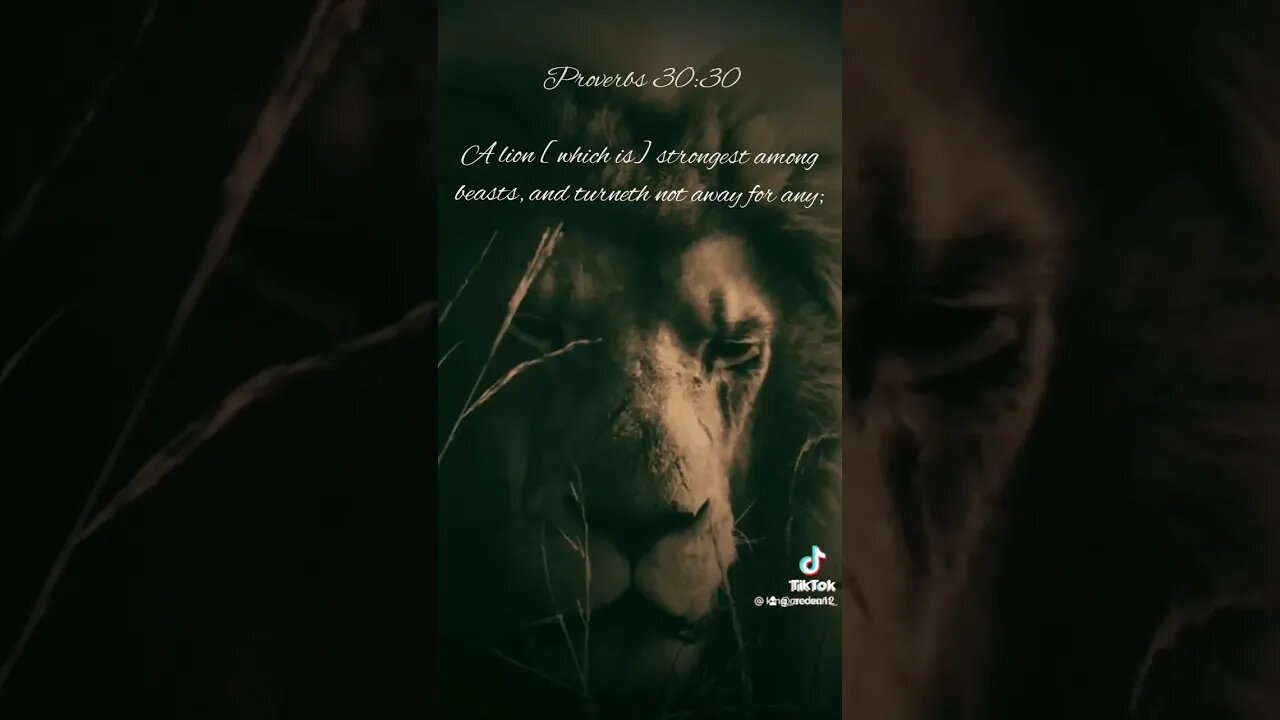 # LION #CHRIST #POWER #PRAYER #LOVE