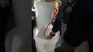 wine making #wine #winemakin