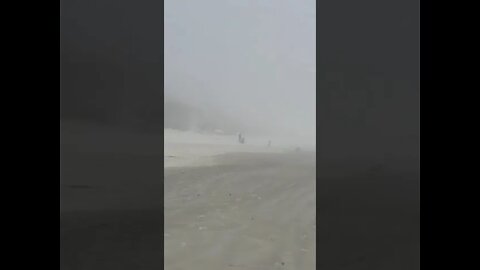 Wow! Weird Fog turned beach goers into shuffling zombies! 🧟‍♂️🧟‍♀️ #shorts