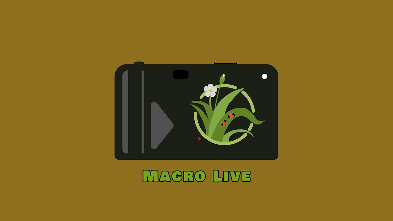 Macro Live