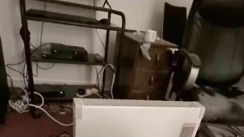 Enjoy Our New Member At Work