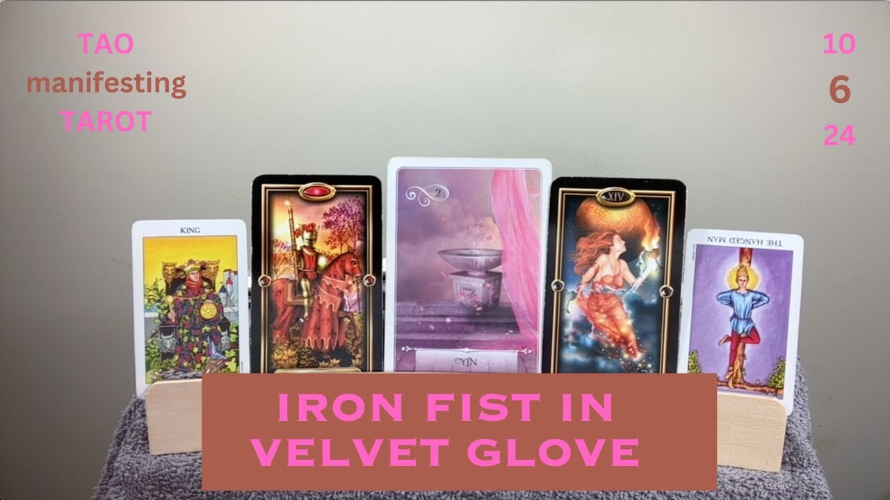 IRON FIST IN VELVET GLOVE