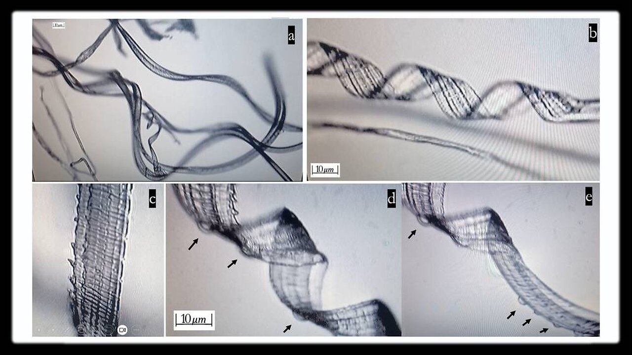 INFOWARS Reese Report: Recent Study Shows Self-Assembly Nanobots in the COVID-19 Injectables - 9/11/24