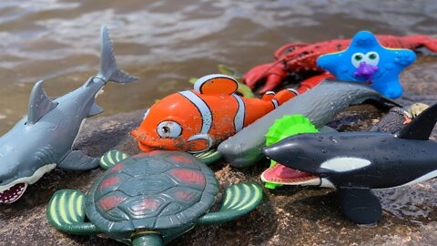 Sea Animal Toys at the Shore 🐳🦀🦞