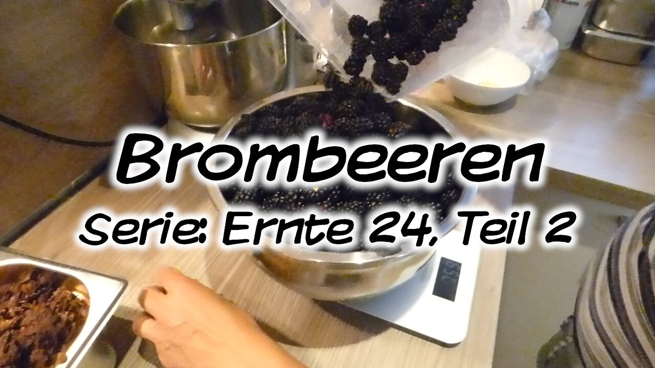 Mach's Dir. Selbst. - Brombeeren (Serie: Ernte 24, Teil 2)