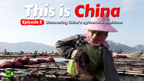 Discovering China’s agricultural traditions | This is China. Episode 5 | RT Documentary