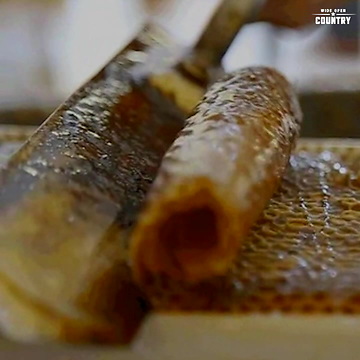 Oddly Satisfying Farm Videos