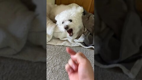 He Doesn't Take ANY Disrespect!
