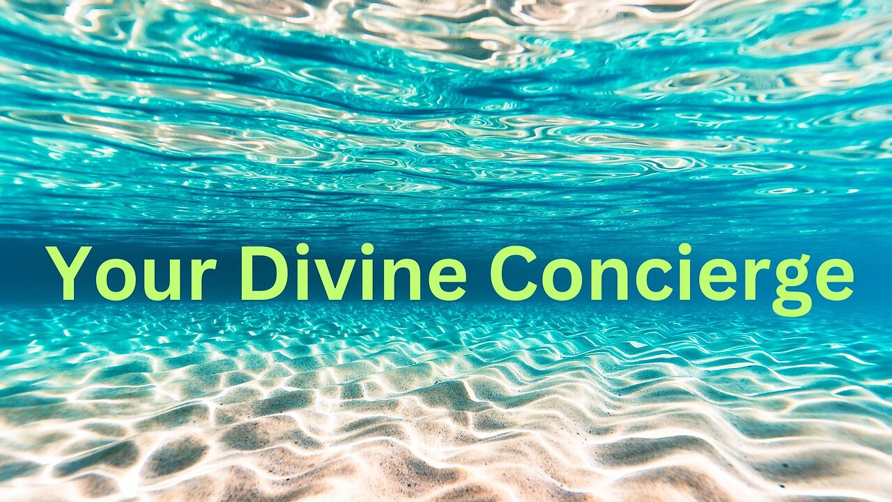 • Your Divine Concierge Messages from Ann & the Angels - 09/28/2024