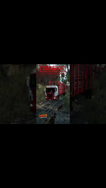 Scania R Romeu e julieta #shorts #shortsviral #shortsvideo
