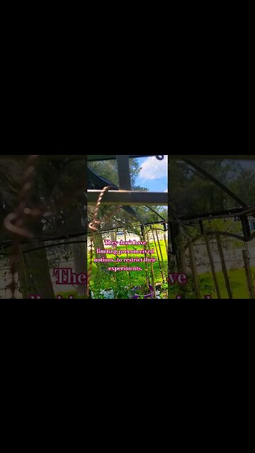 Believing in the potential of the plants in the Pixies Potager #gardening #electroculture #garden