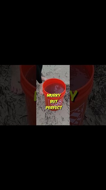 No Cost Marine Fish Tank