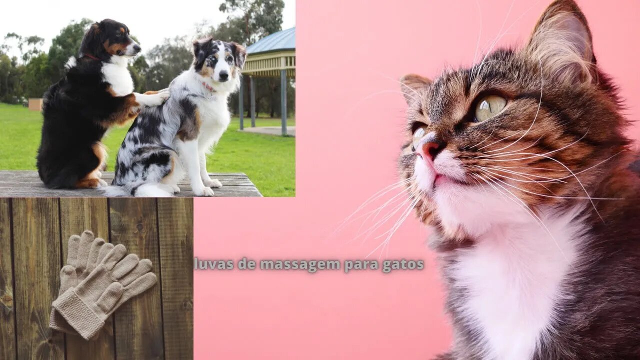 Luva de Massagem para Cães e Gatos - Massageador Mágico