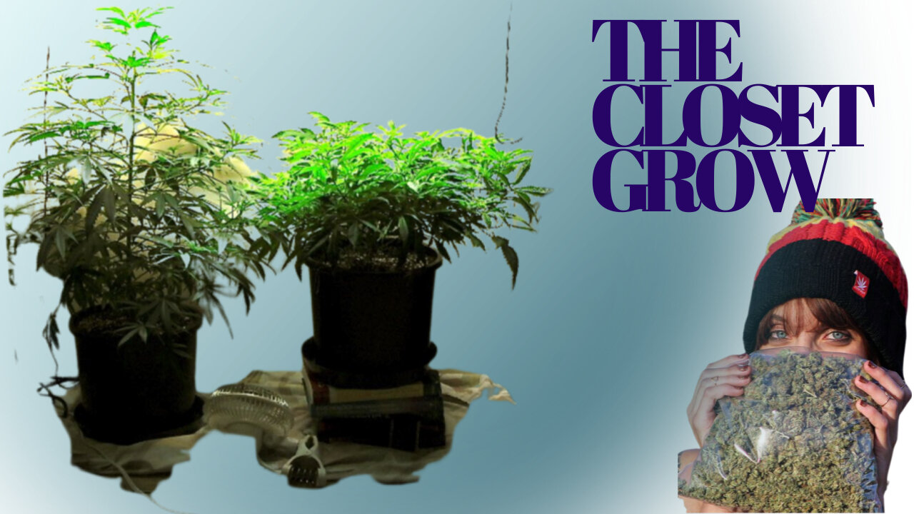 The Closet Grow