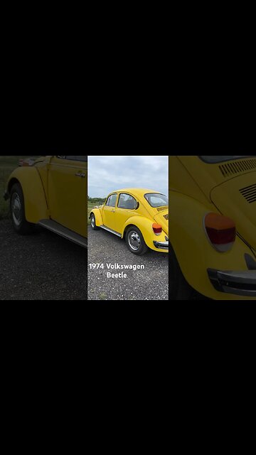 #volkswagen #beetle #volkswagenbeetle #classiccarsforsale #vintagecars #funcar #car #linkinbio