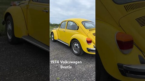 #volkswagen #beetle #volkswagenbeetle #classiccarsforsale #vintagecars #funcar #car #linkinbio