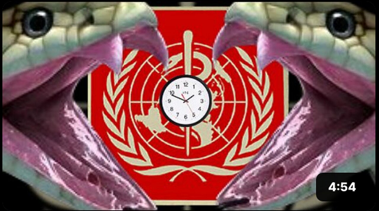 STOP IT NOW! "STOP THE 'WHO' PANDEMIC TREATY & REJECT IT'S AMENDMENTS! BEFORE IT'S TOO LATE"