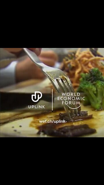 The World Economic Forum (Klaus Schwab) just posted this with the title 'a taste of what's to come'